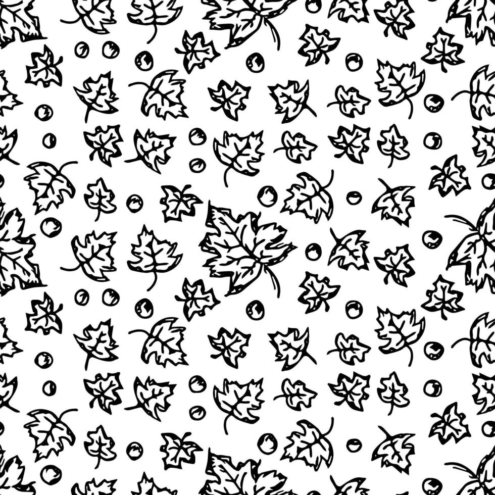 Black and white autumn pattern. Seamless autumn leaves pattern. autumn maple leaves vector