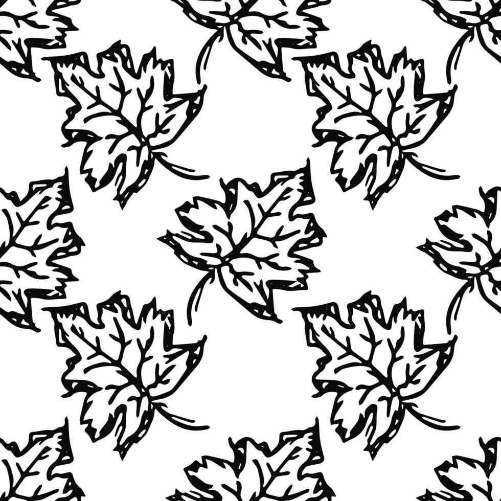 Black and white autumn pattern. Seamless autumn leaves pattern. autumn maple leaves vector