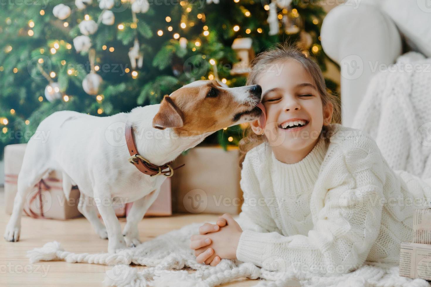 Horizontal shot of glad funny girl receives kiss from jack russell terrier dog dressed in winter knitted sweater, enjoys New Year or Christmas tree has toothy smile. Children, pets, love, relationship photo
