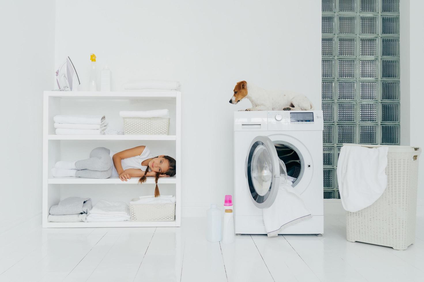 Pretty small child with pigtails lies on shelf of white console with neatly folded clean towels, poses in laundry room, pedigree dog sits at top of washing machine, basket full of dirty linen photo