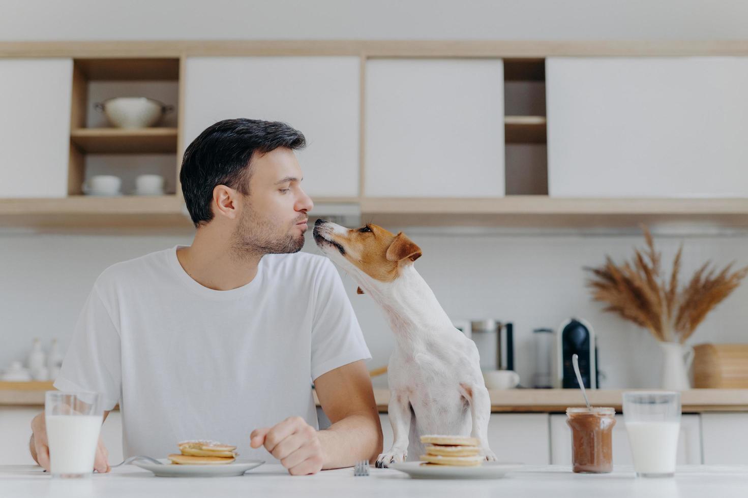 Male host kisses with dog, eat tasty pancakes, drink fresh milk, pose at kitchen during morning time. Mutual love between people and animals. Jack russell terrier and his host have breakfast together photo