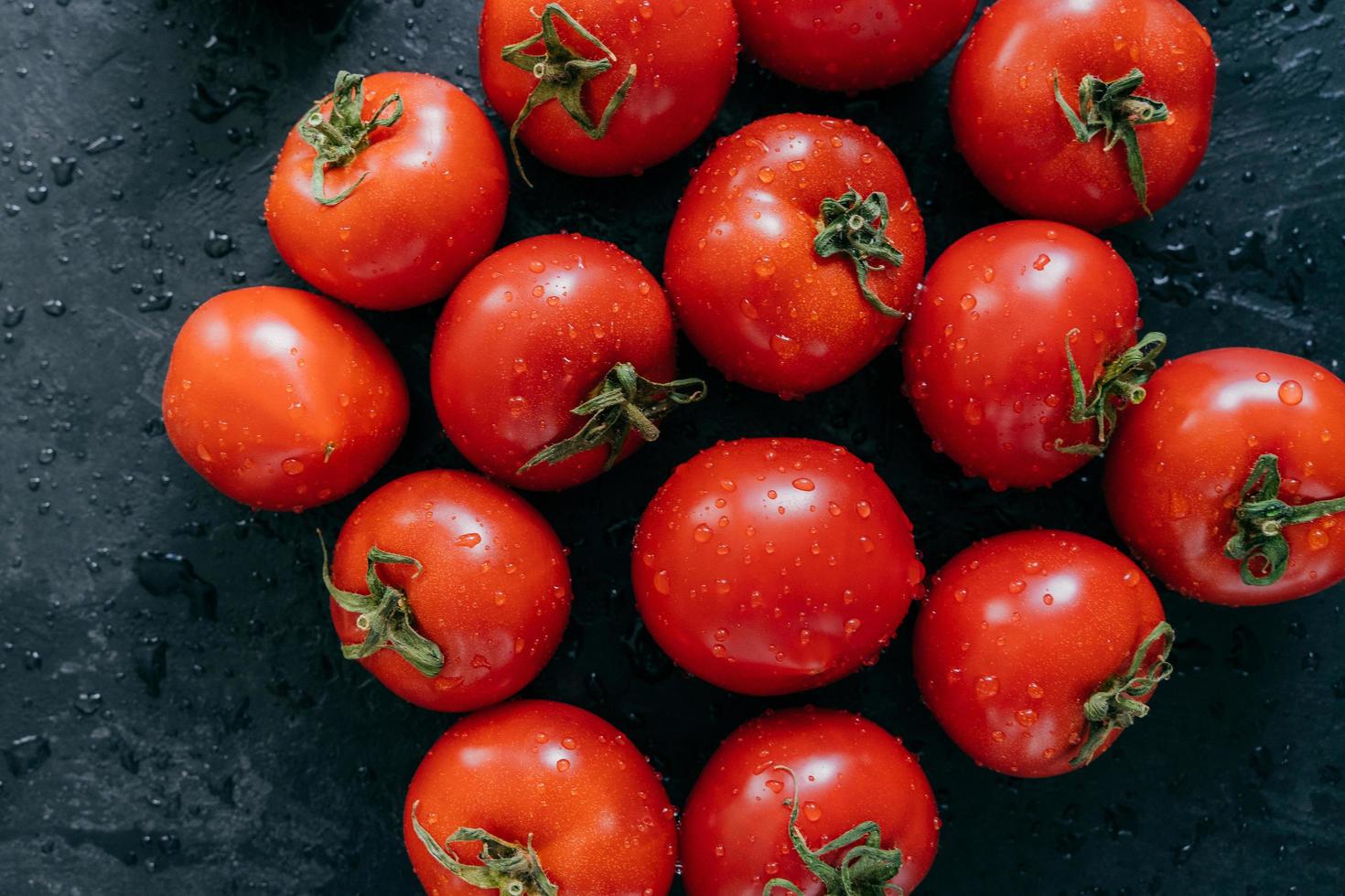 hermosos tomates rojos frescos maduros cultivados en invernadero. gotas de agua sobre verduras reliquia aisladas sobre fondo oscuro. agricultura foto