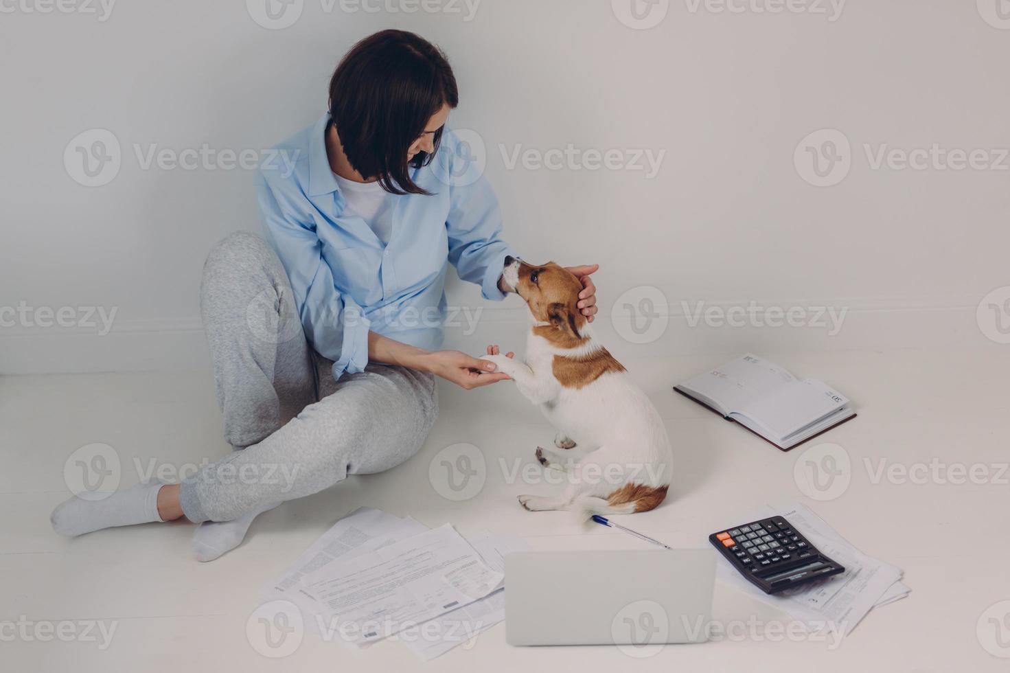 Brunette woman dressed casually, studies income report, sits on floor with laptop computer, paper documents, calculator, notepad, has fun with her favourite pet, isolated over white background photo