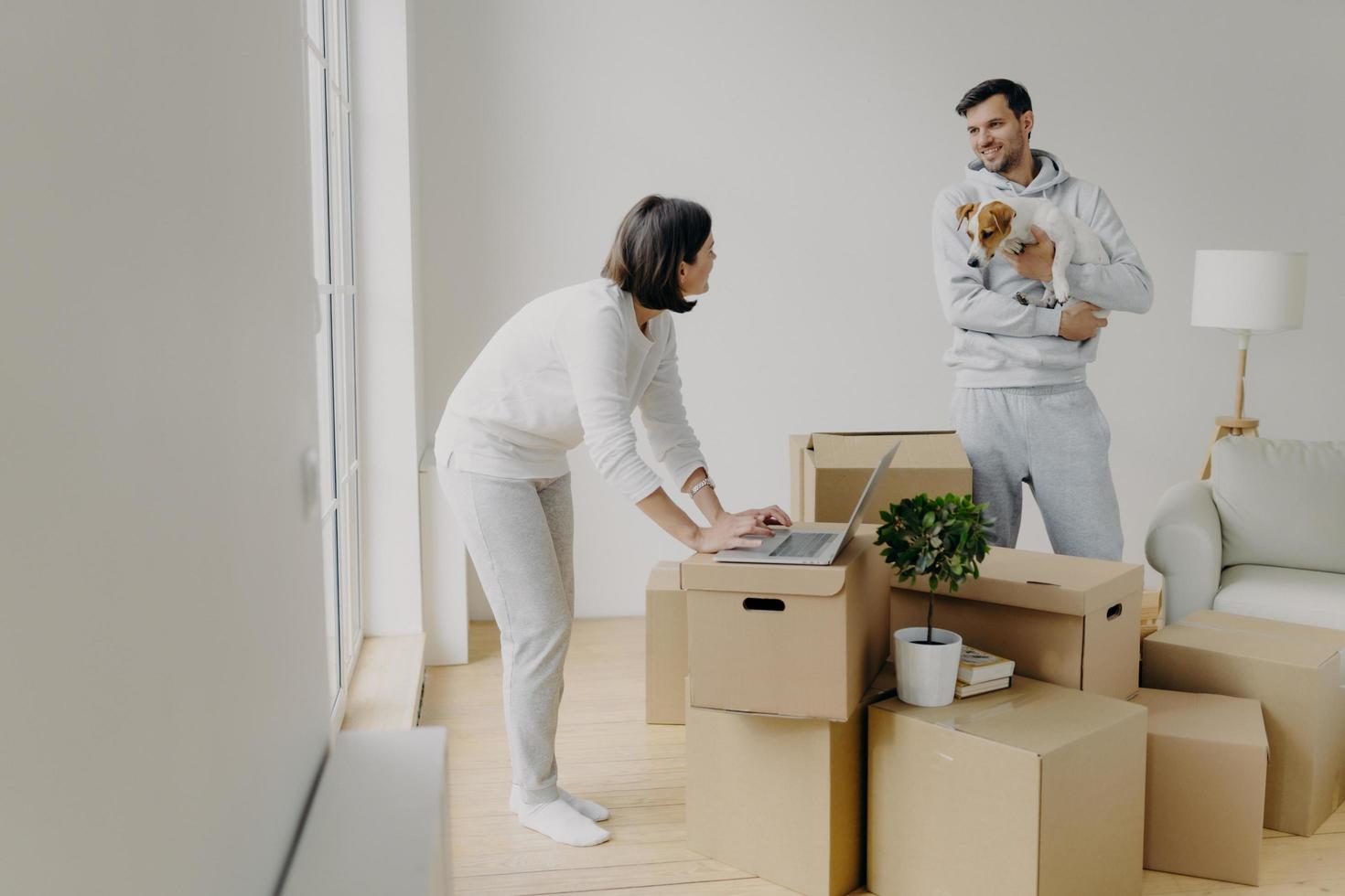 Busy woman tries to find information in laptop computer, buys furniture online, man stands with dog on hands, smiles and talks to wife, surrounded with pile of cardboard boxes have to unpack property photo