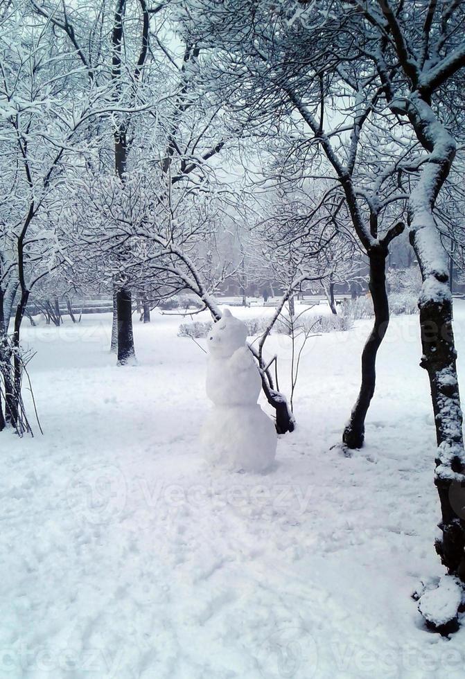 Snowman. Winter in the city park. Fabulous character. Christmas. New Year. Winter fun. Snowman modeling. A friendly smile. photo