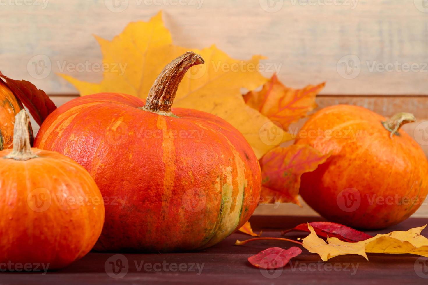 Autumn background. Ripe pumpkins and yellow fallen leaves. Harvest and Thanksgiving concept. Halloween celebrations. photo