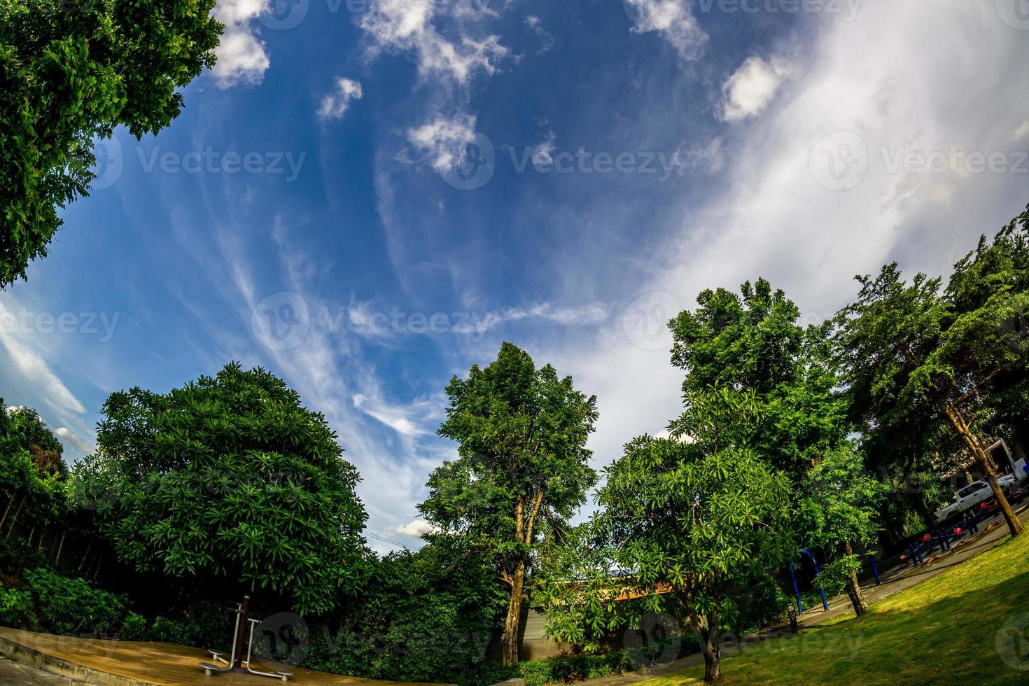 beautiful clouds in the garden photo