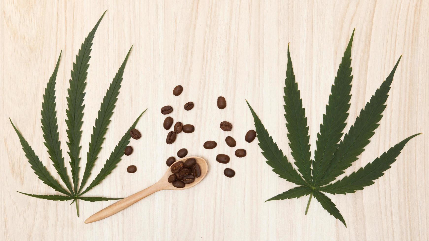 Coffee beans in a wooden spoon with cannabis leaves on a wooden table.copy space.flat lay.top-down.top view. photo