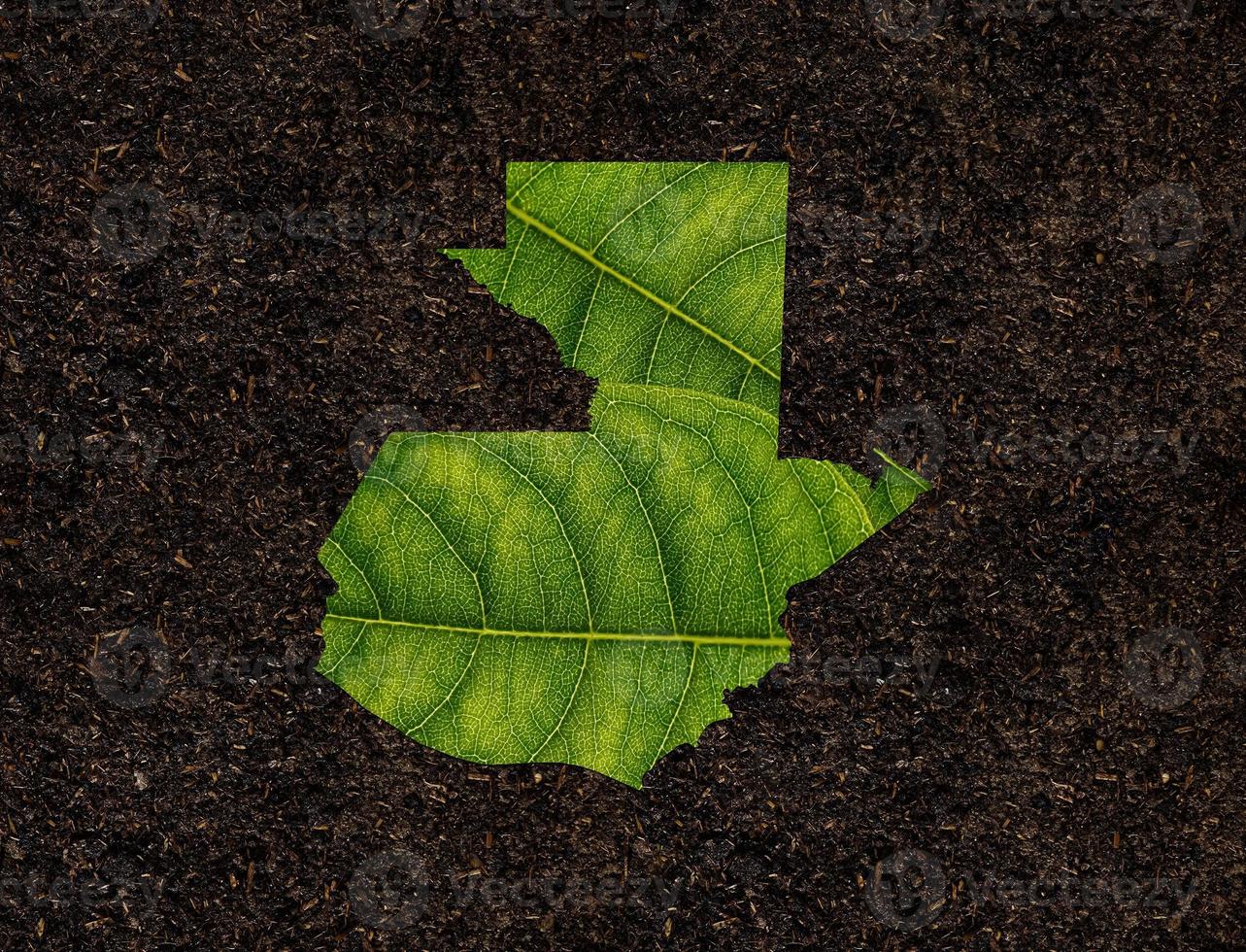 Guatemala map made of green leaves on soil background ecology concept photo