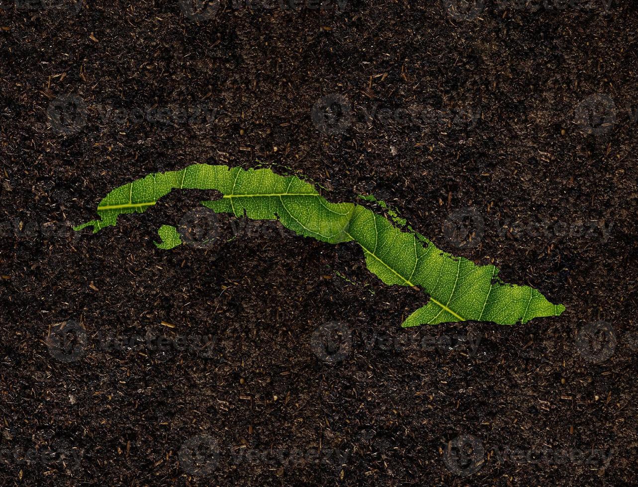 Cuba map made of green leaves on soil background ecology concept photo