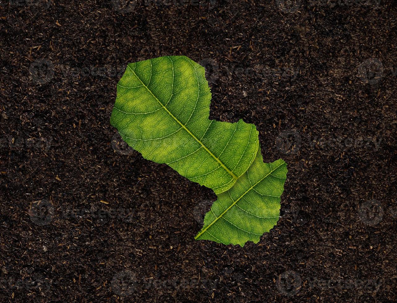 Sierra Leone map made of green leaves on soil background ecology concept photo