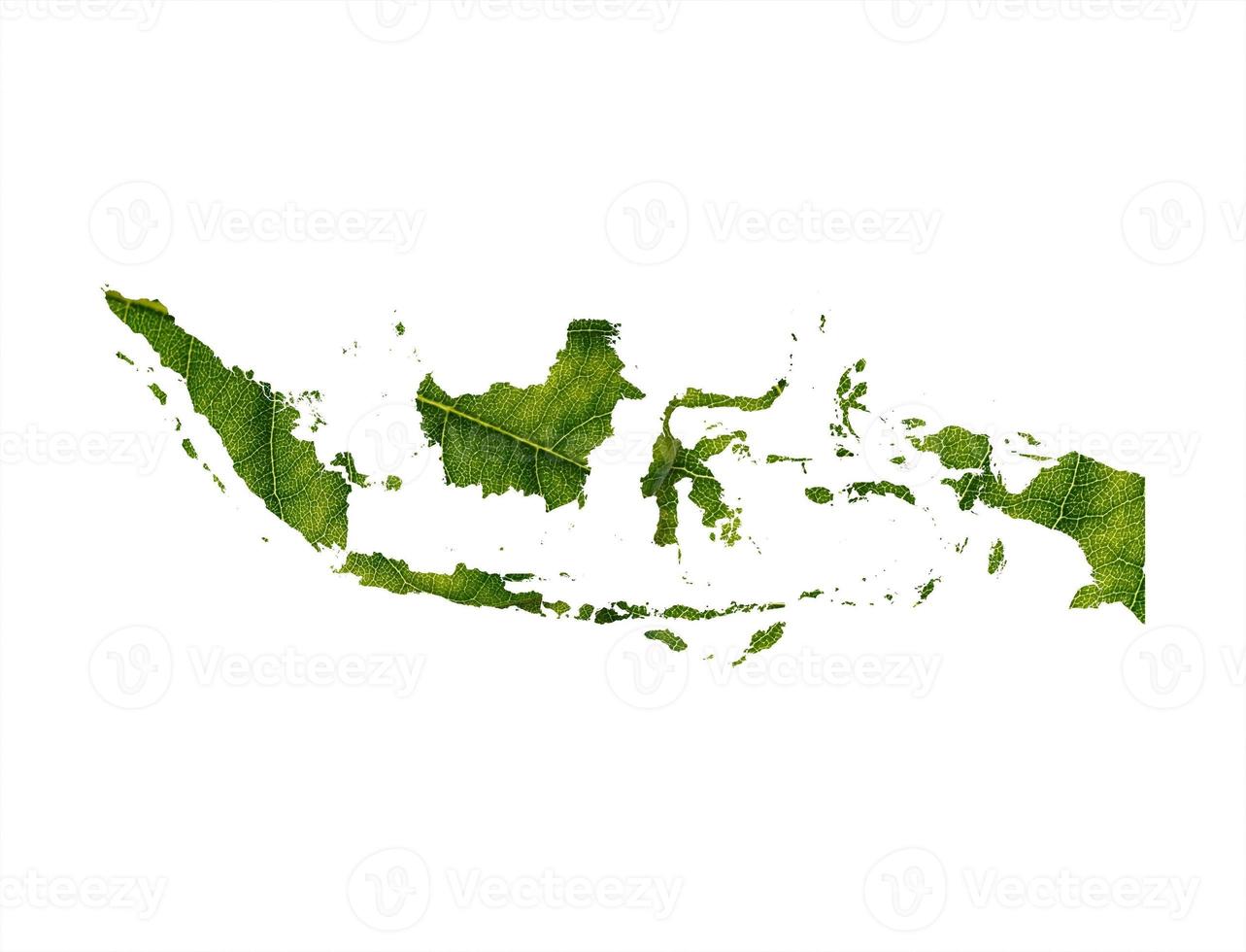 Indonesia map made of green leaves, concept ecology Map green leaf on soil background photo