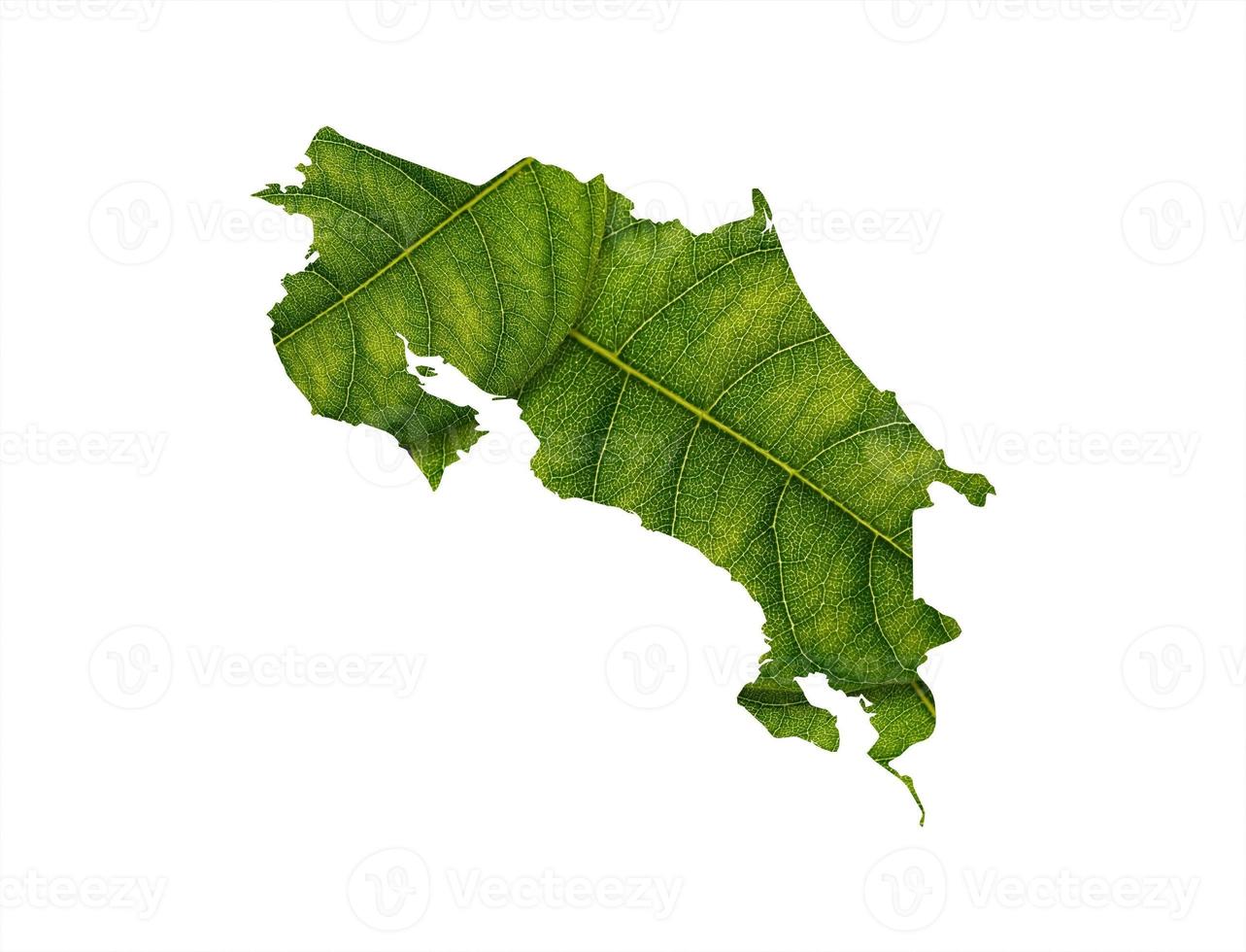 Costa Rica map made of green leaves on soil background ecology concept photo