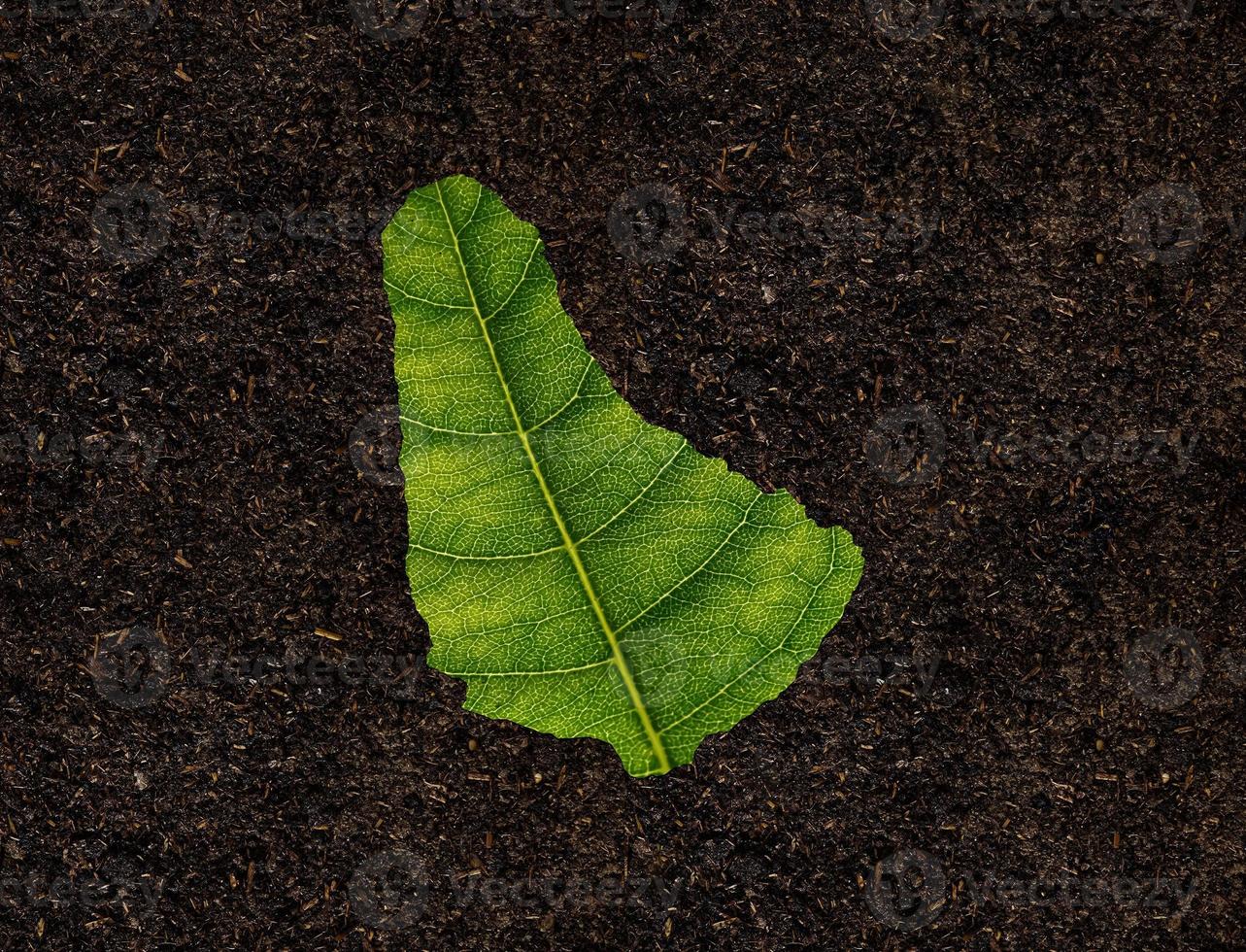 Barbados map made of green leaves, concept ecology Map green leaf on soil background photo