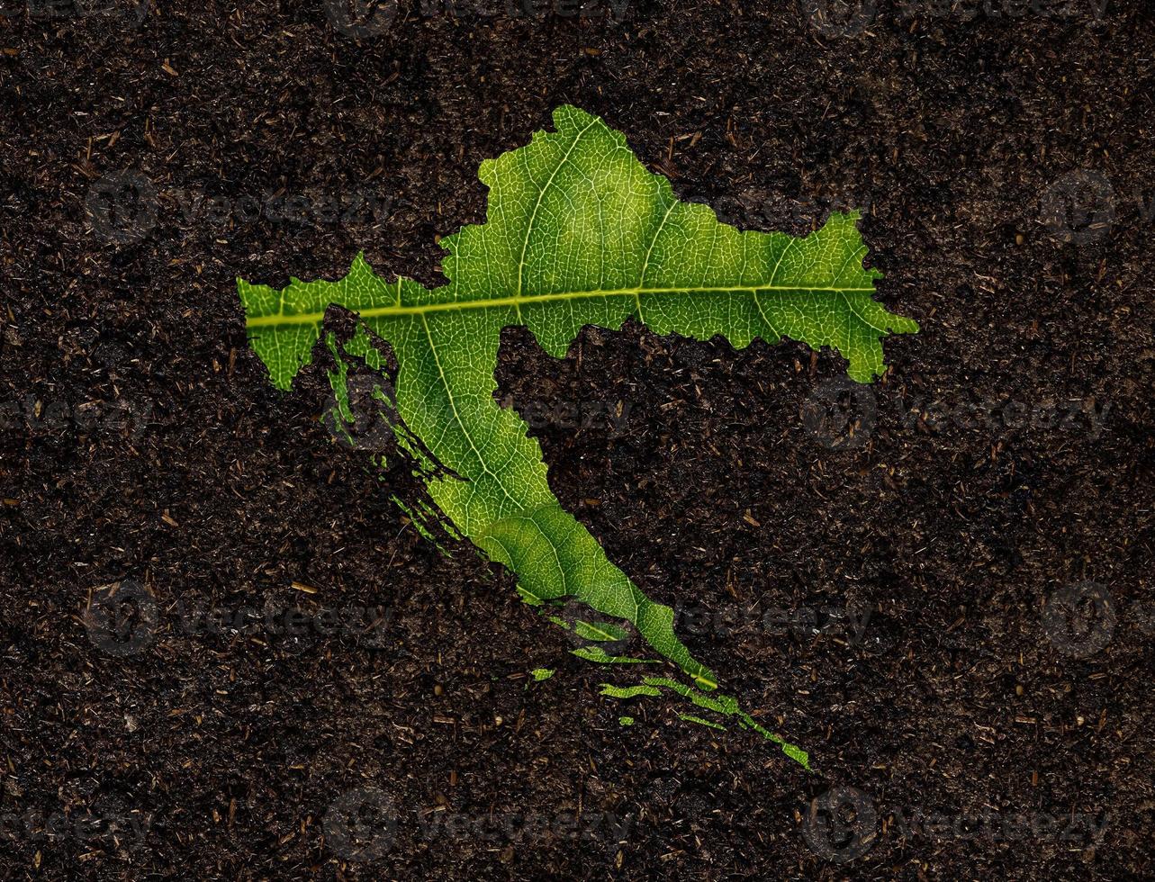 Croatia map made of green leaves on soil background ecology concept photo