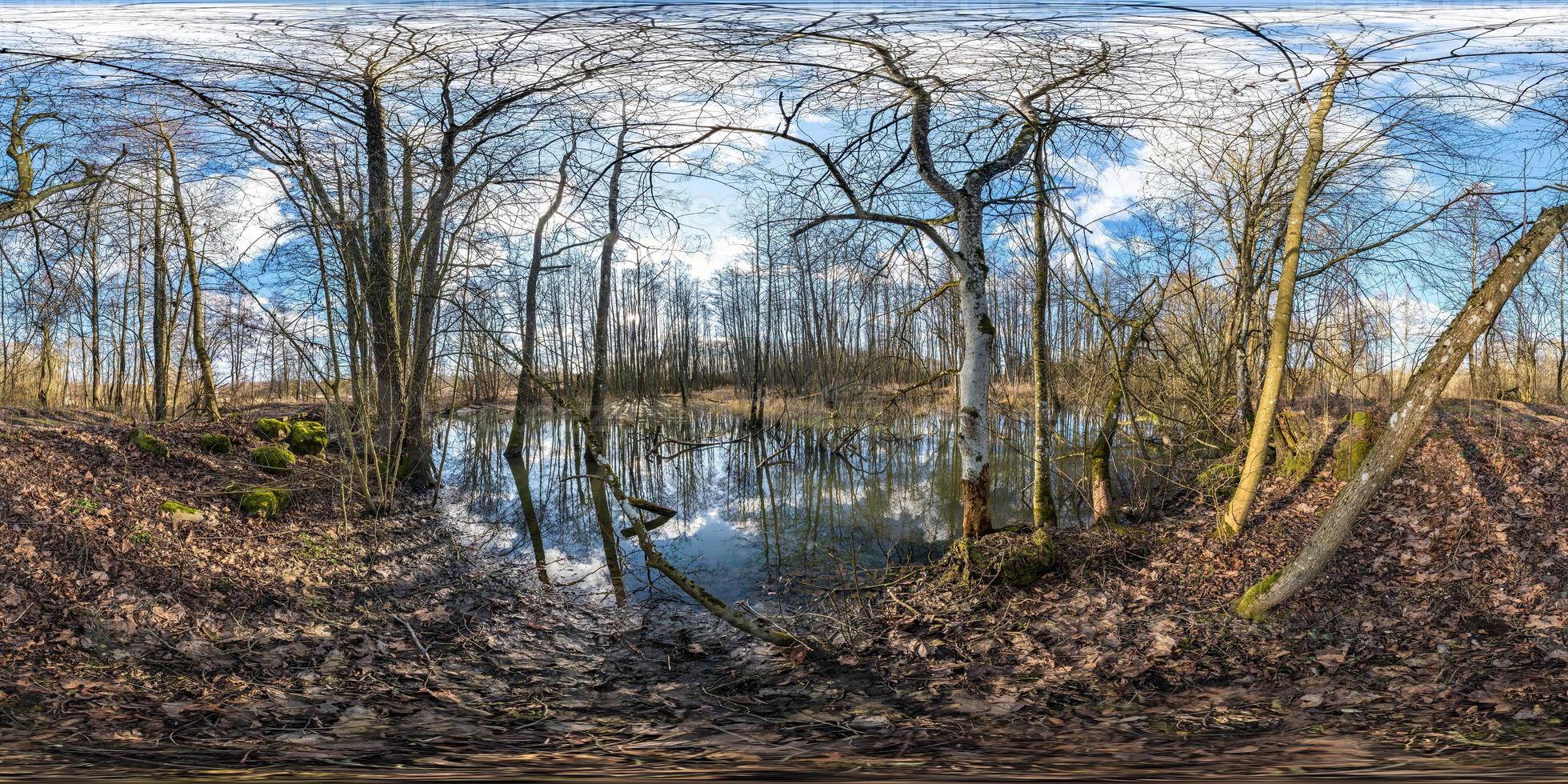 vista de ángulo de 360 grados de panorama hdri esférico completo sin costuras entre los arbustos del bosque cerca del pantano en proyección equirectangular, contenido de realidad virtual listo vr ar foto