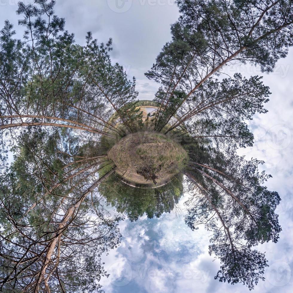 Little planet transformation of spherical panorama 360 degrees. Spherical abstract aerial view in forest. Curvature of space. photo