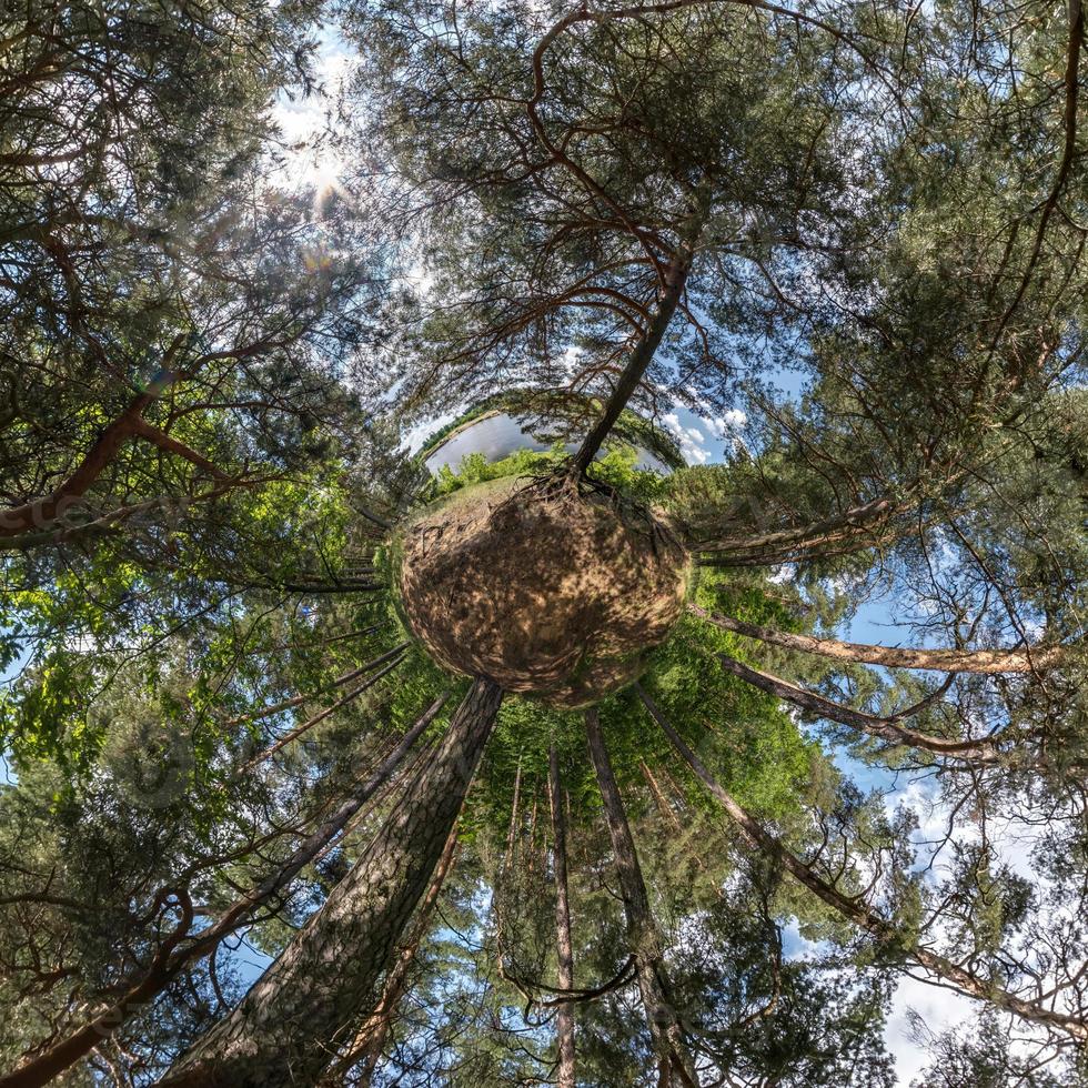 Little planet transformation of spherical panorama 360 degrees. Spherical abstract aerial view in forest. Curvature of space. photo