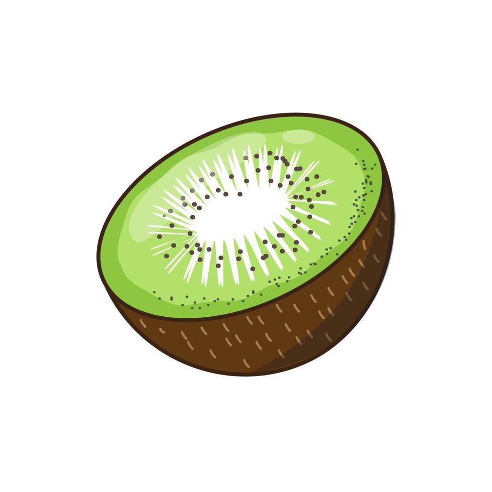 fresh kiwi fruit slice vector illustrator eps10