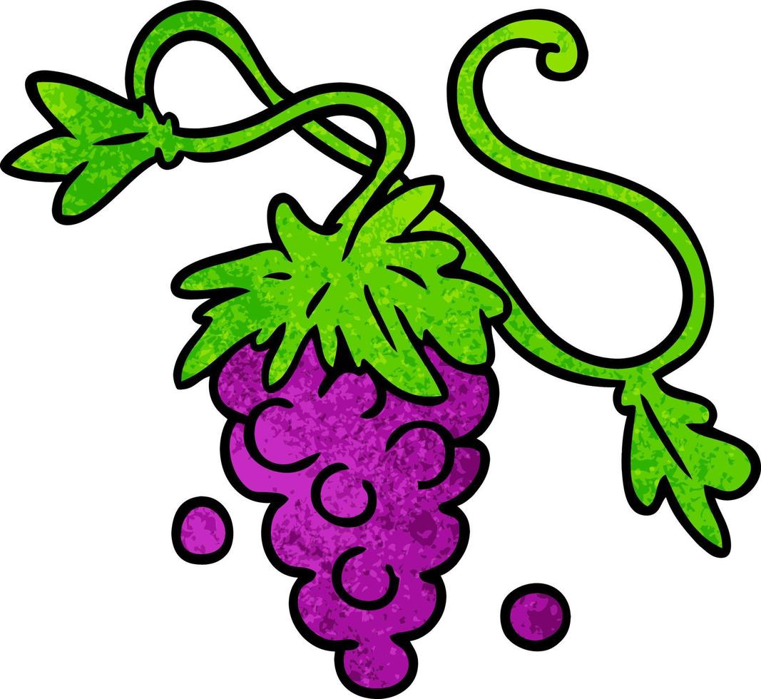 textured cartoon doodle of grapes on vine vector