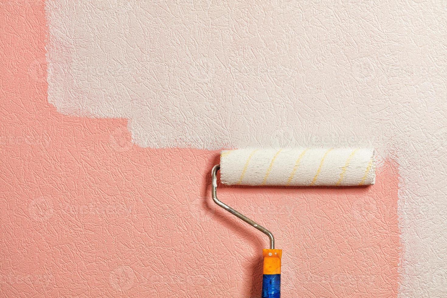 A paint roller paints a coral colored wall with white paint. Close-up. photo