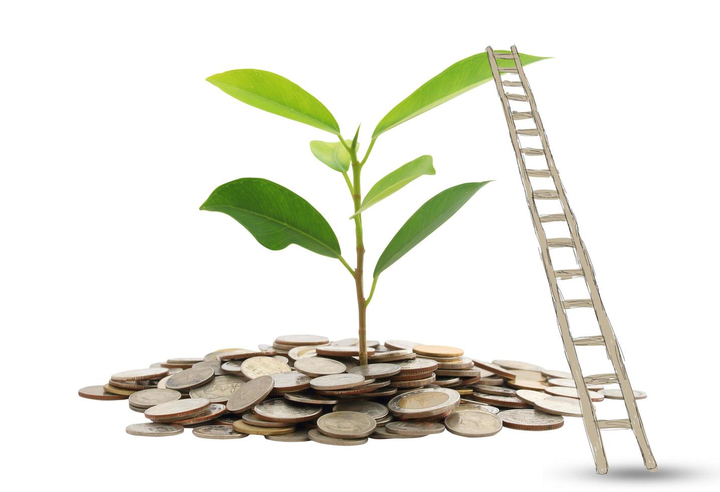Ladder to money photo