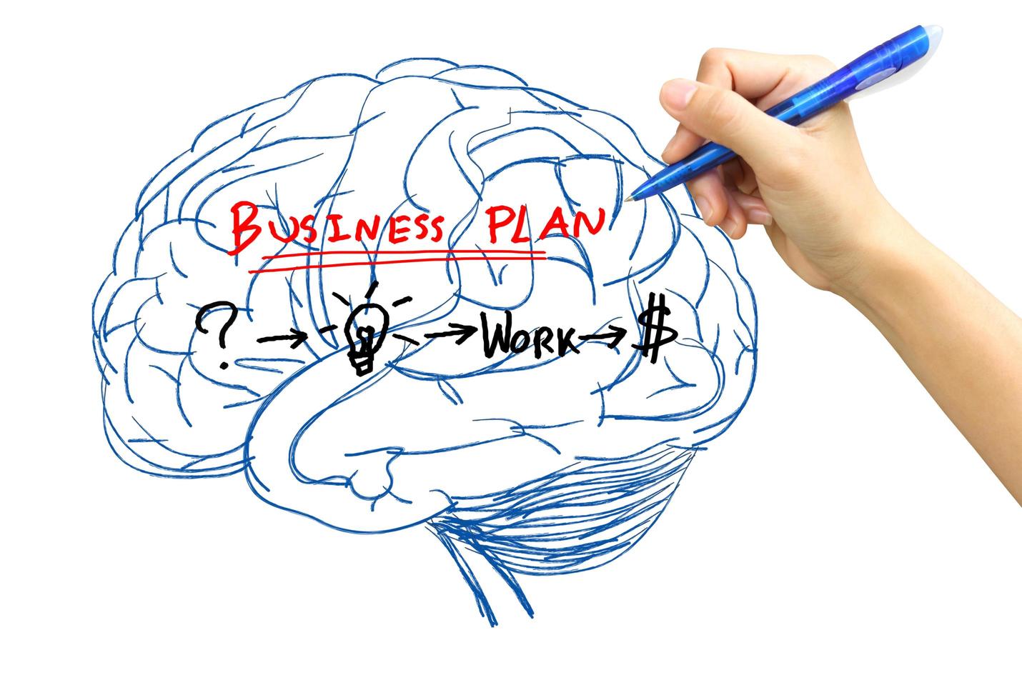 business  drawing brain of marketing strategy photo