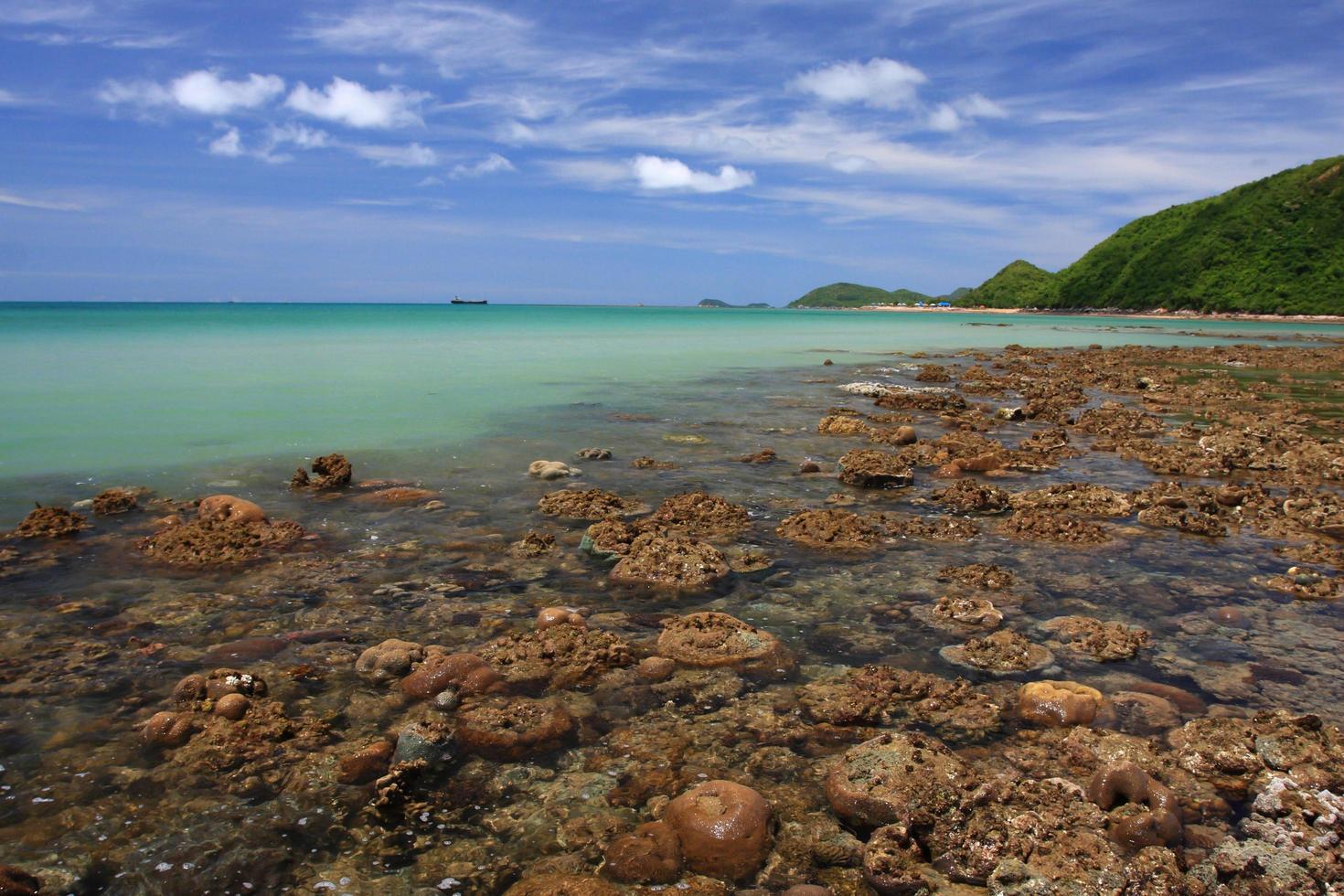 Corals in shallow waters during low tide off the coast  , Thailand photo