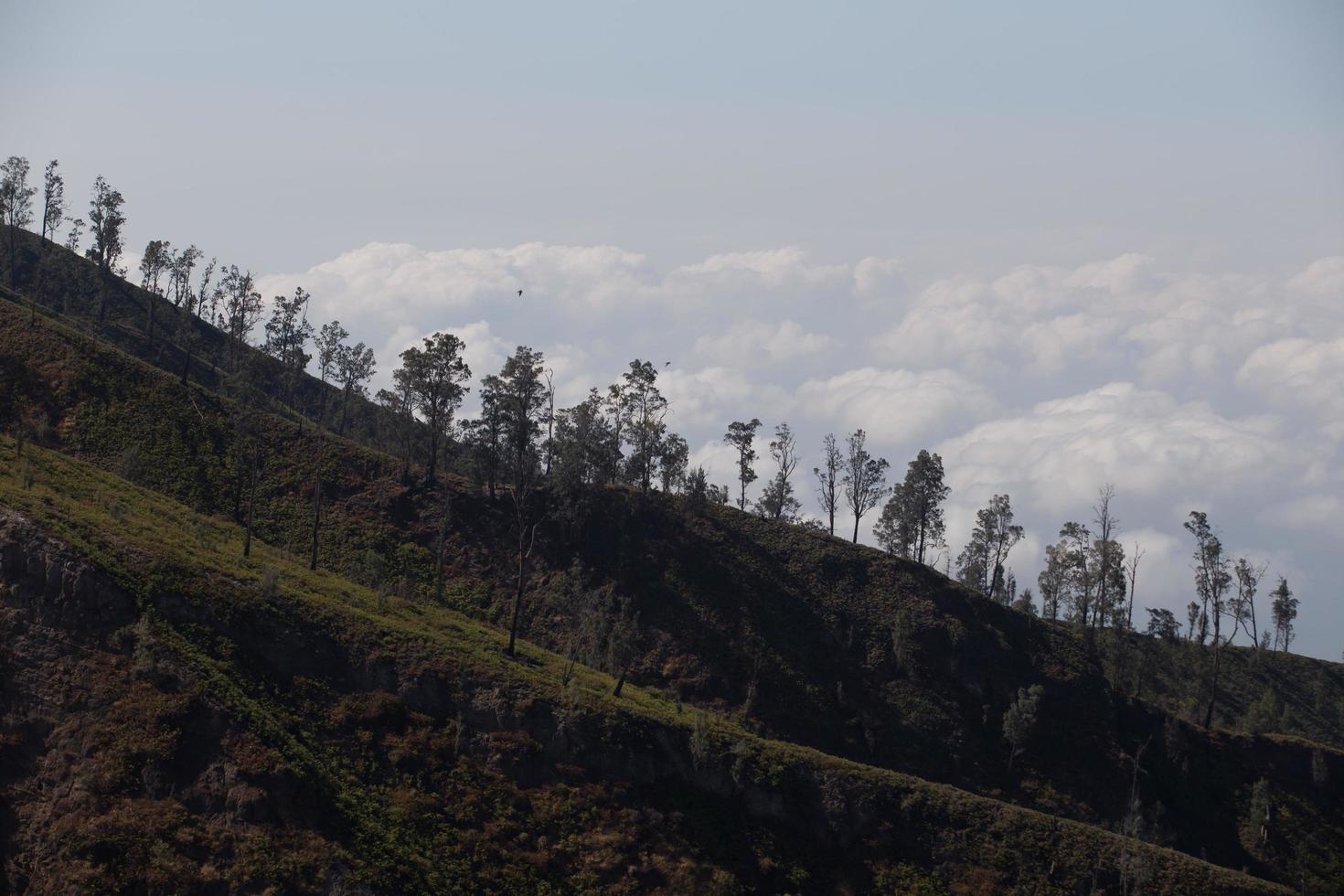 View from the tropical forest with path to the volcano Kawah Ijen, East Java, Indoneisa photo