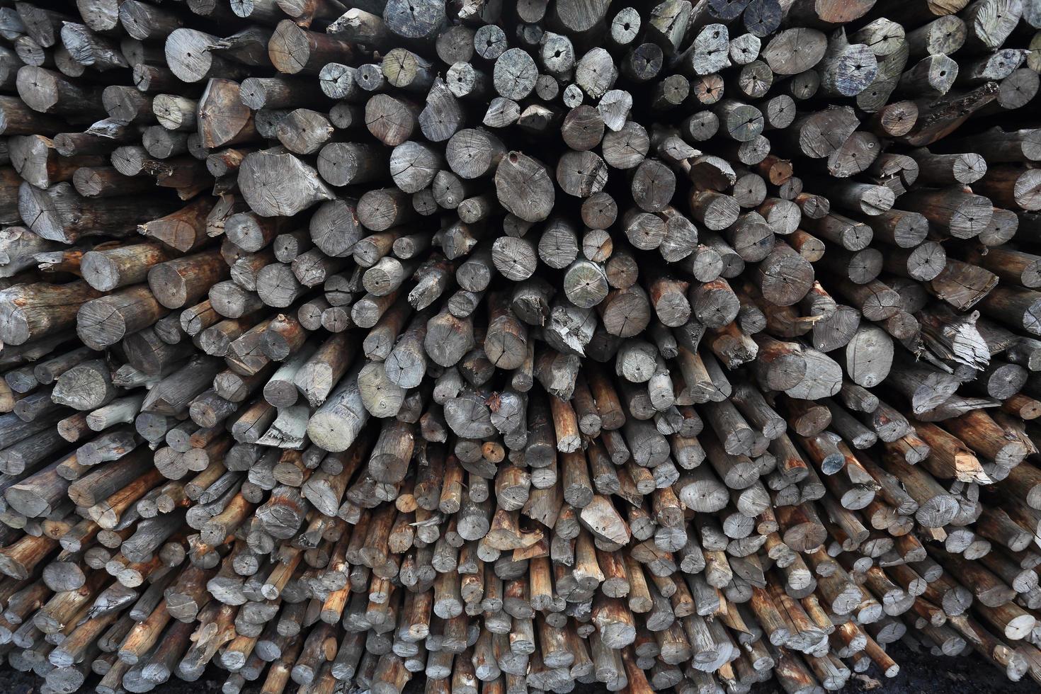 mangrove wood to be processed as charcoal photo