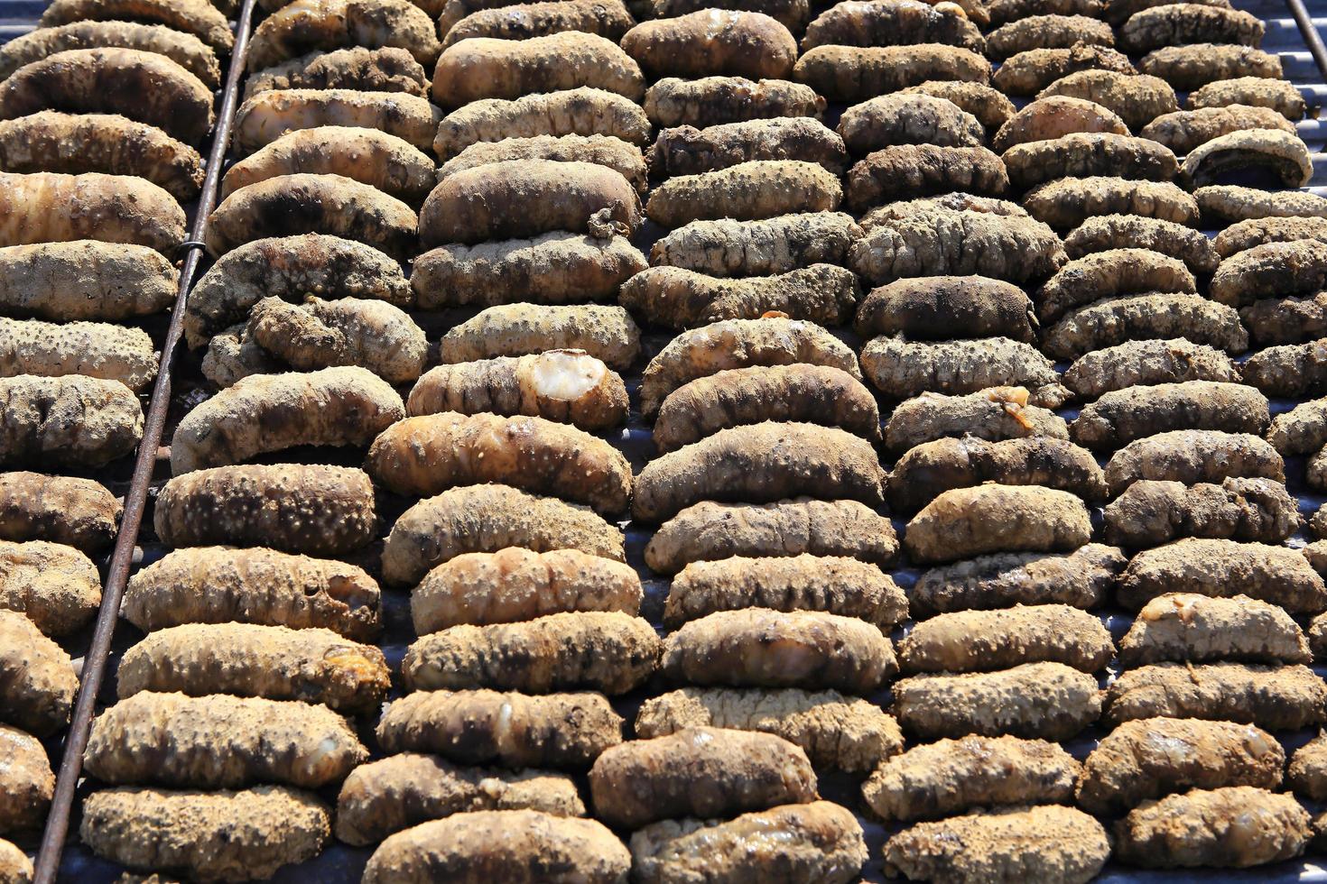 Drying Sea Cucumber Outdoor photo