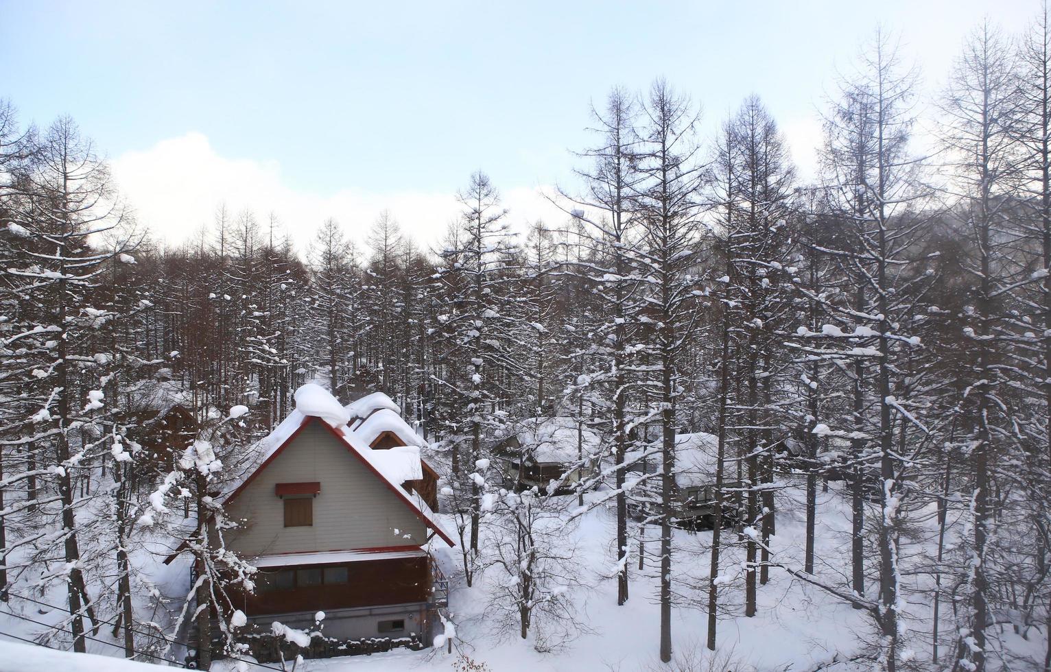 Snow covered houses photo