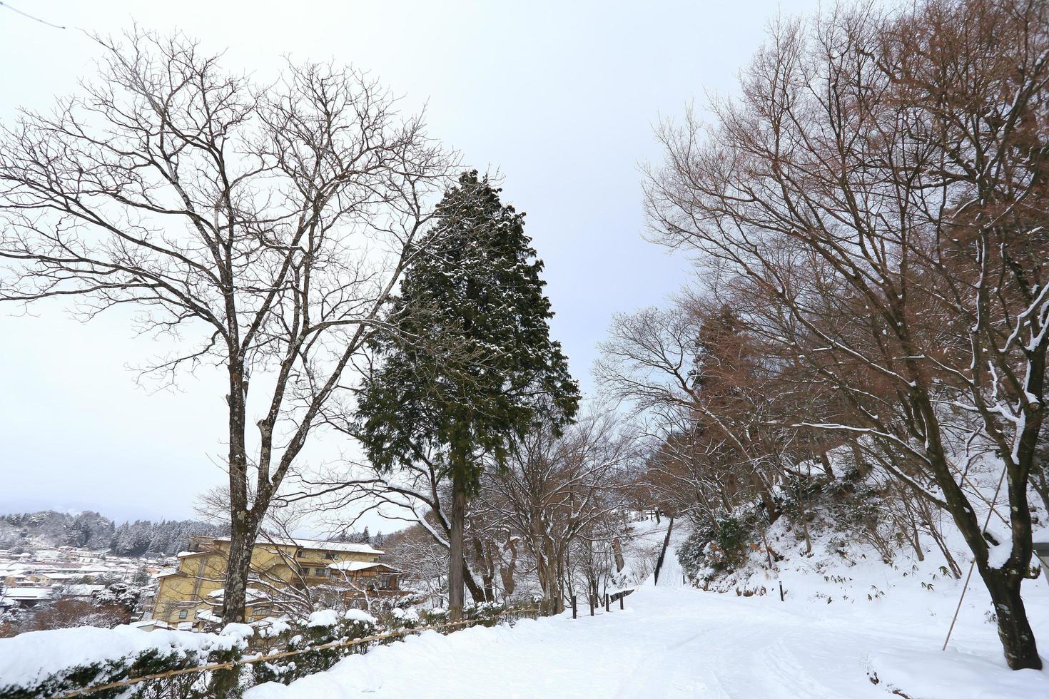 View of the city takayama in Japan in the snow photo