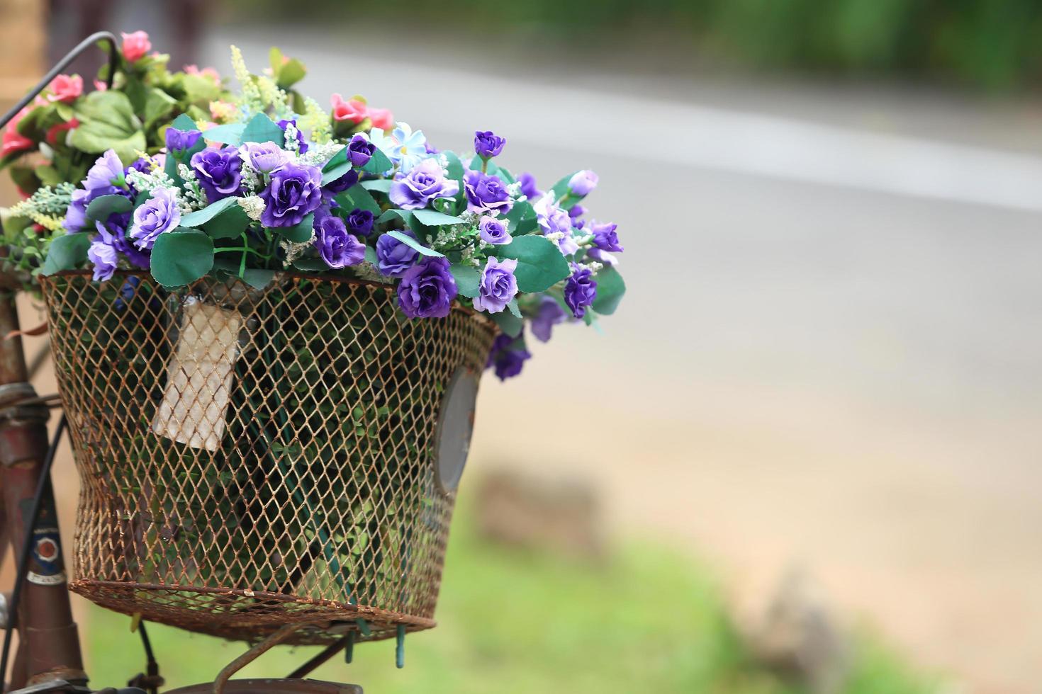 The bike basket with roses photo