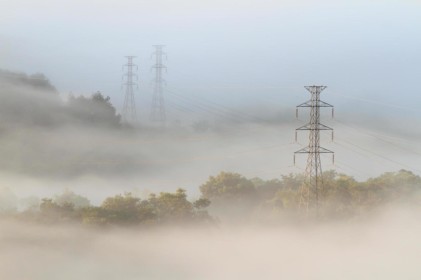 Electrical power lines and pylons emerging from the mist photo