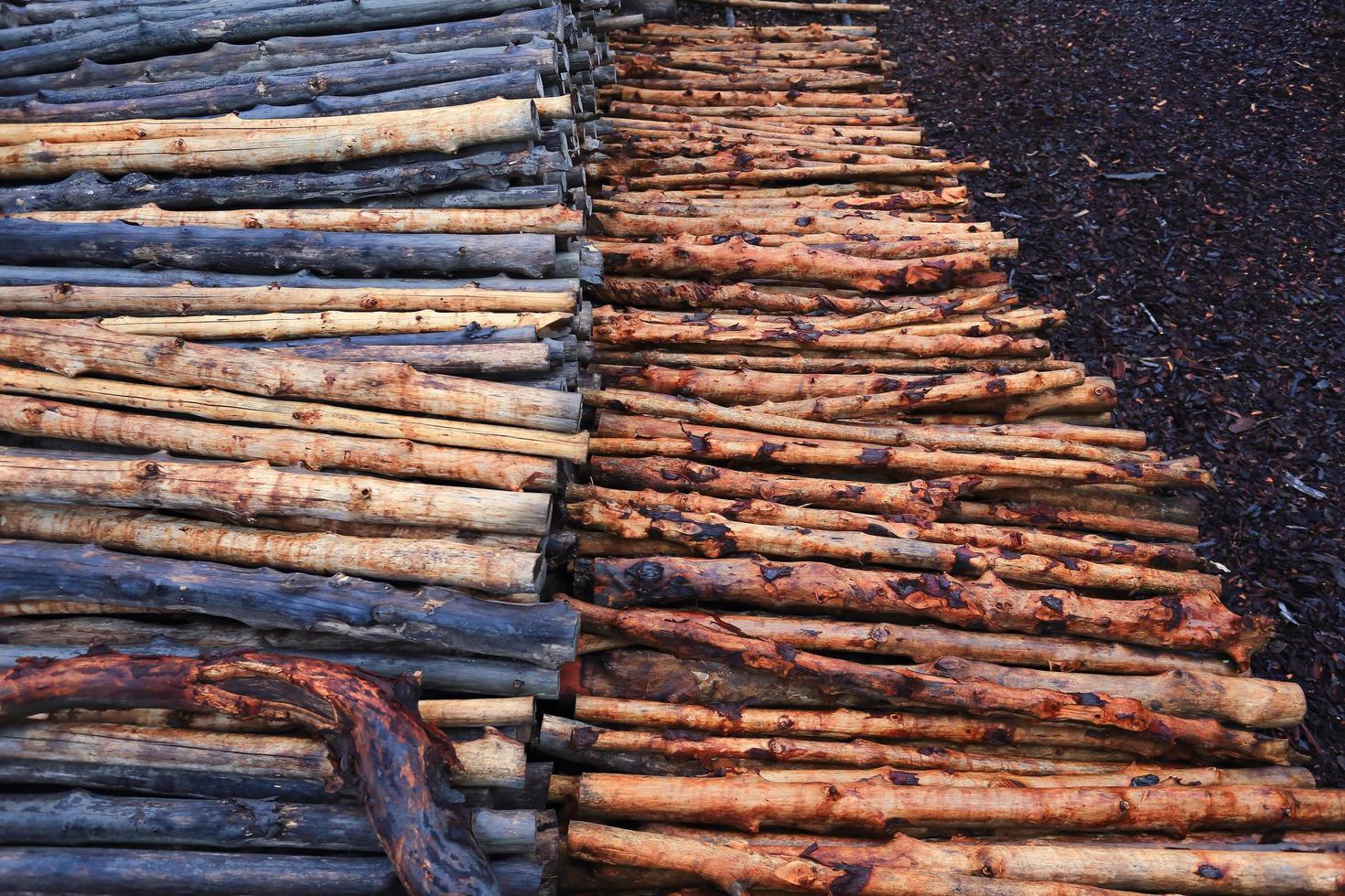 mangrove wood to be processed as charcoal photo