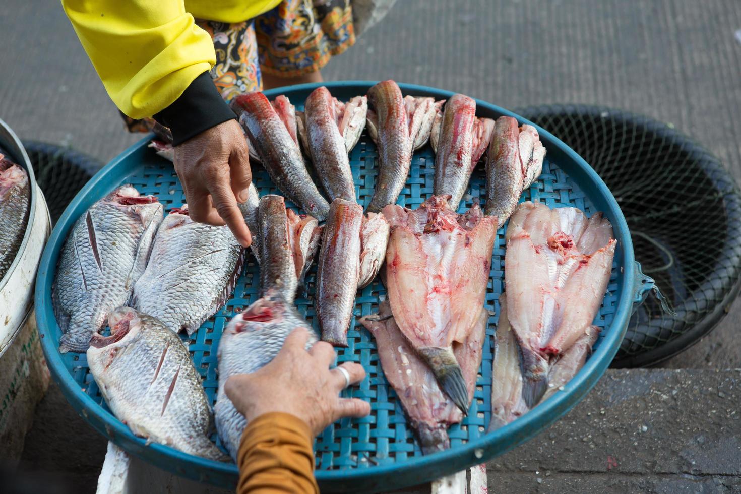 mariscos frescos en el mercado en Tailandia foto