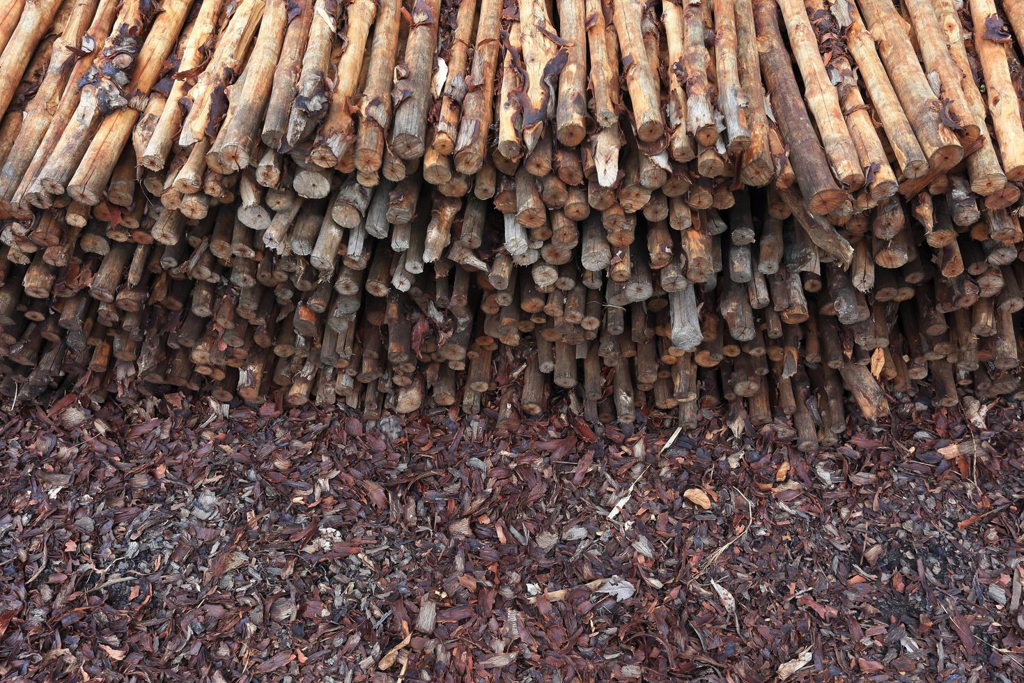 mangrove wood to be processed as charcoal photo