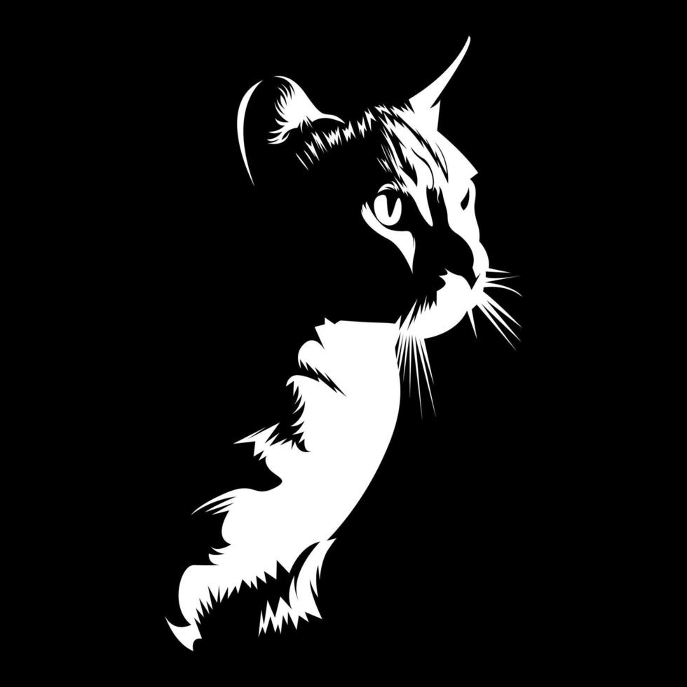 silueta de gato en la ilustración de vector de fondo de oscuridad negra