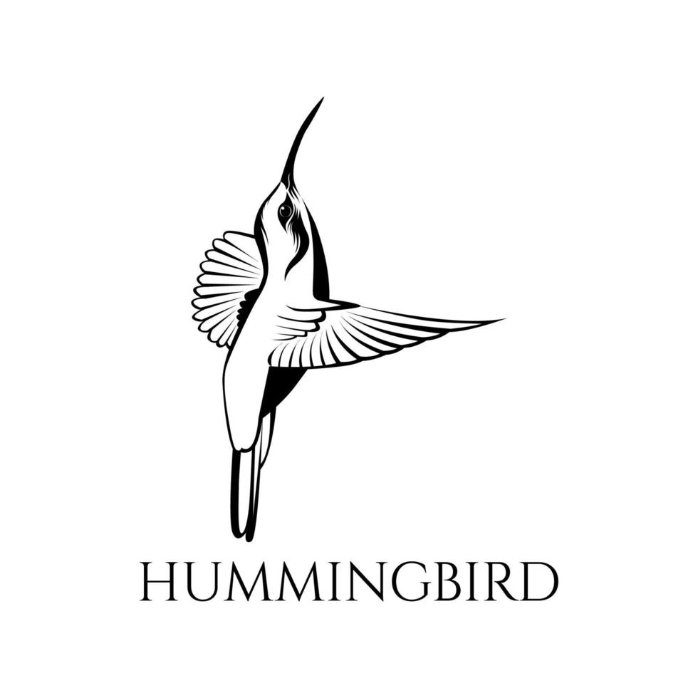 black and white hummingbird vector illustration 04