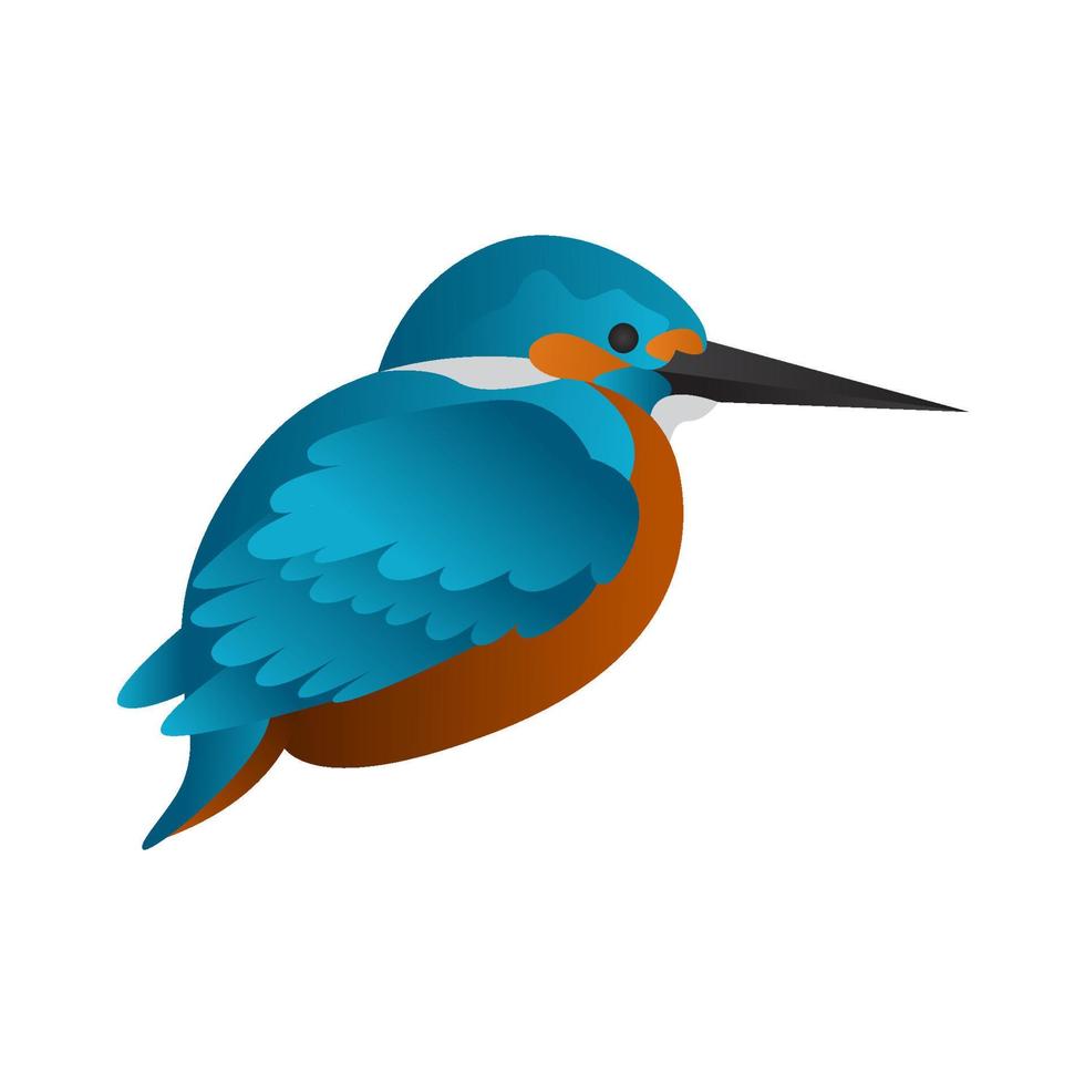 gradient kingfisher bird vector illustration