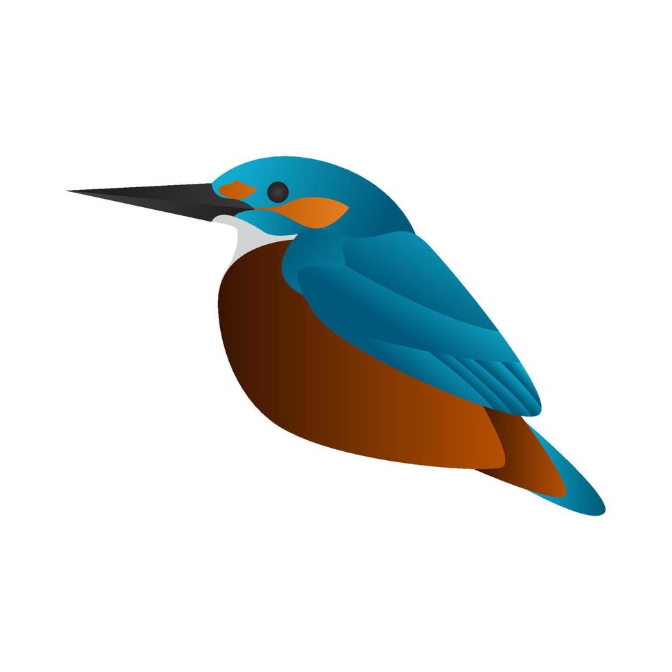 gradient kingfisher bird vector illustration