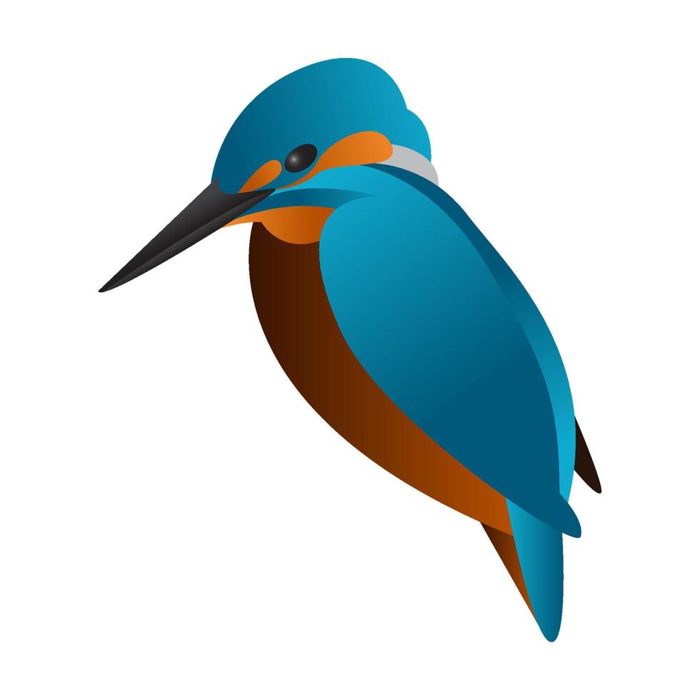 gradient kingfisher bird vector illustration