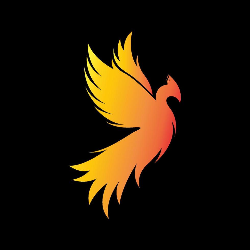 phoenix bird logo vector concept