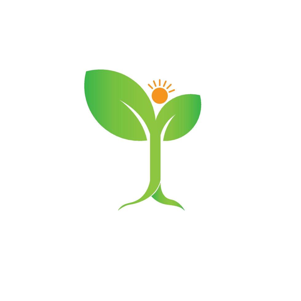 logotipo de la naturaleza con árbol y sol vector