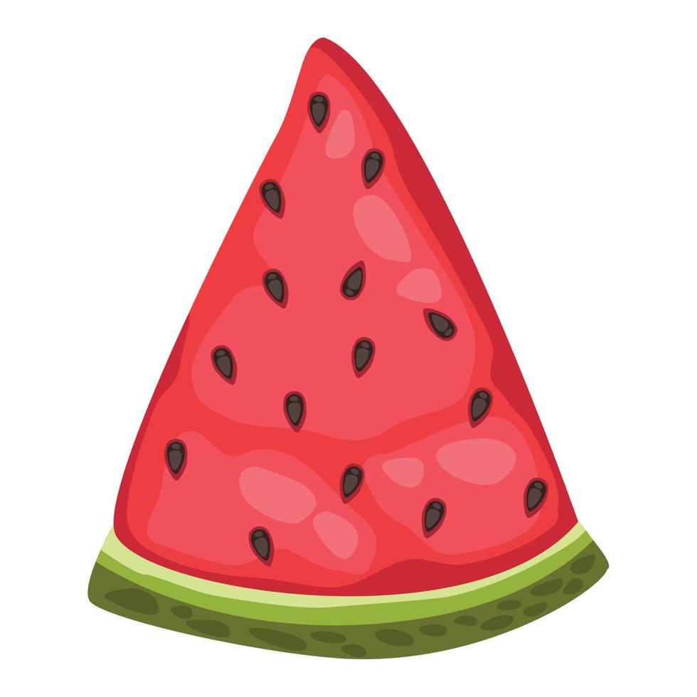 fresh watermelon fruit vector