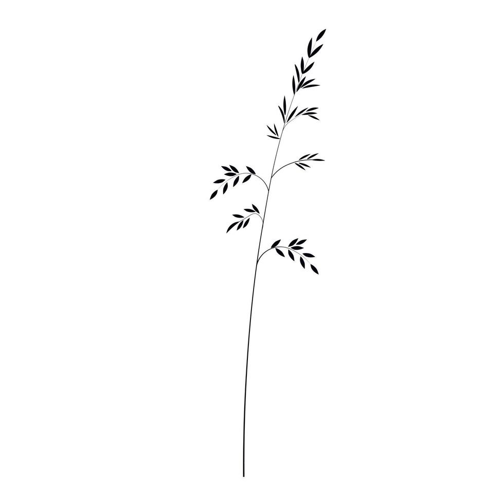 Vector stock illustration of meadow grass. Cream branch Wild dry herbal sways in the wind. Panicle feather flower head plumesstep. Soft pink color. Template for a wedding card.