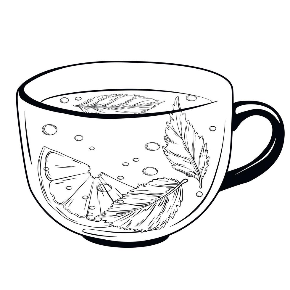 A mug of herbal tea. vector stock illustration. Hot drink with lemon and oregano leaves. Isolated on a white background. Green tea logo.