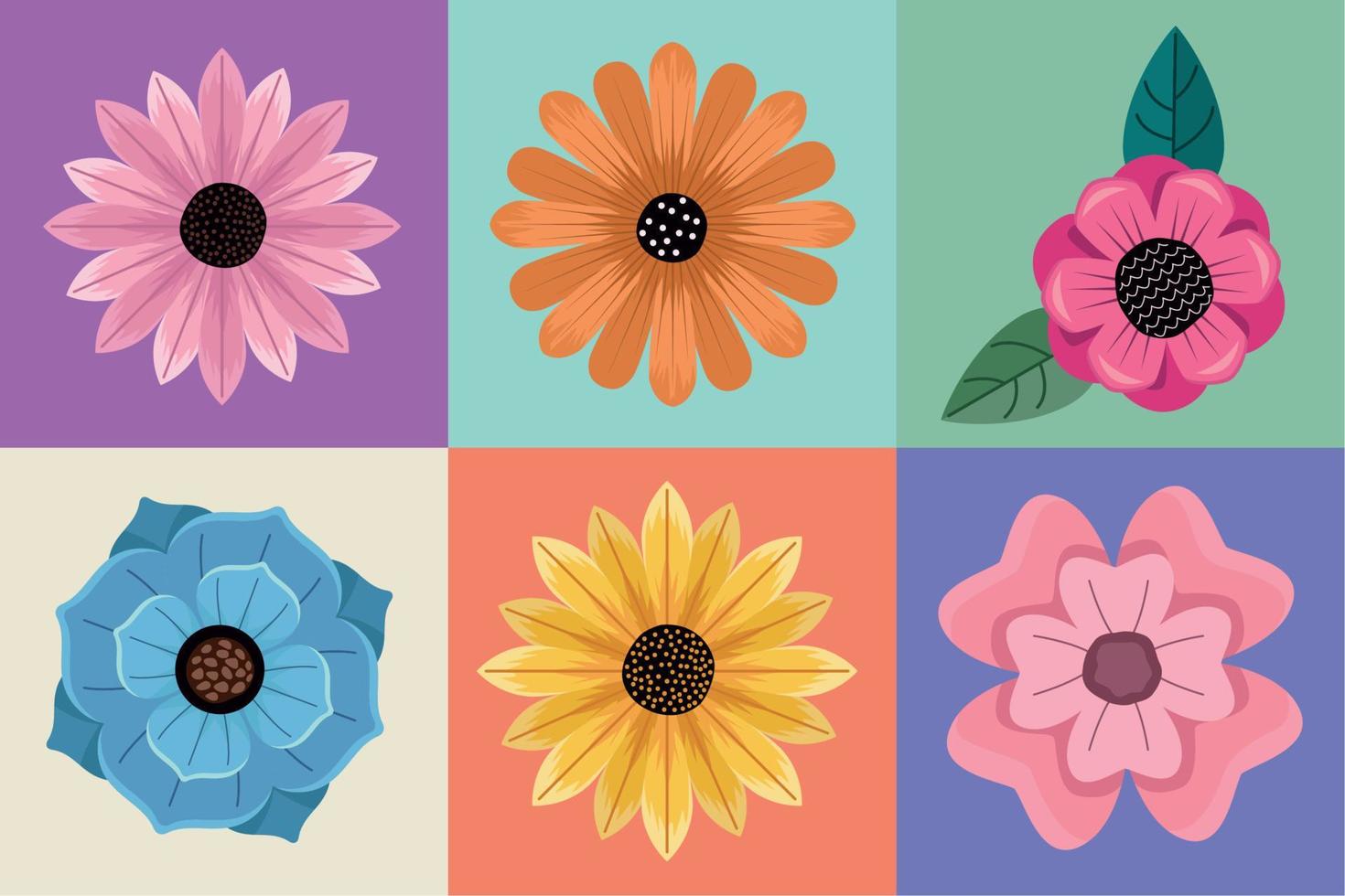 seis flores de primavera vector