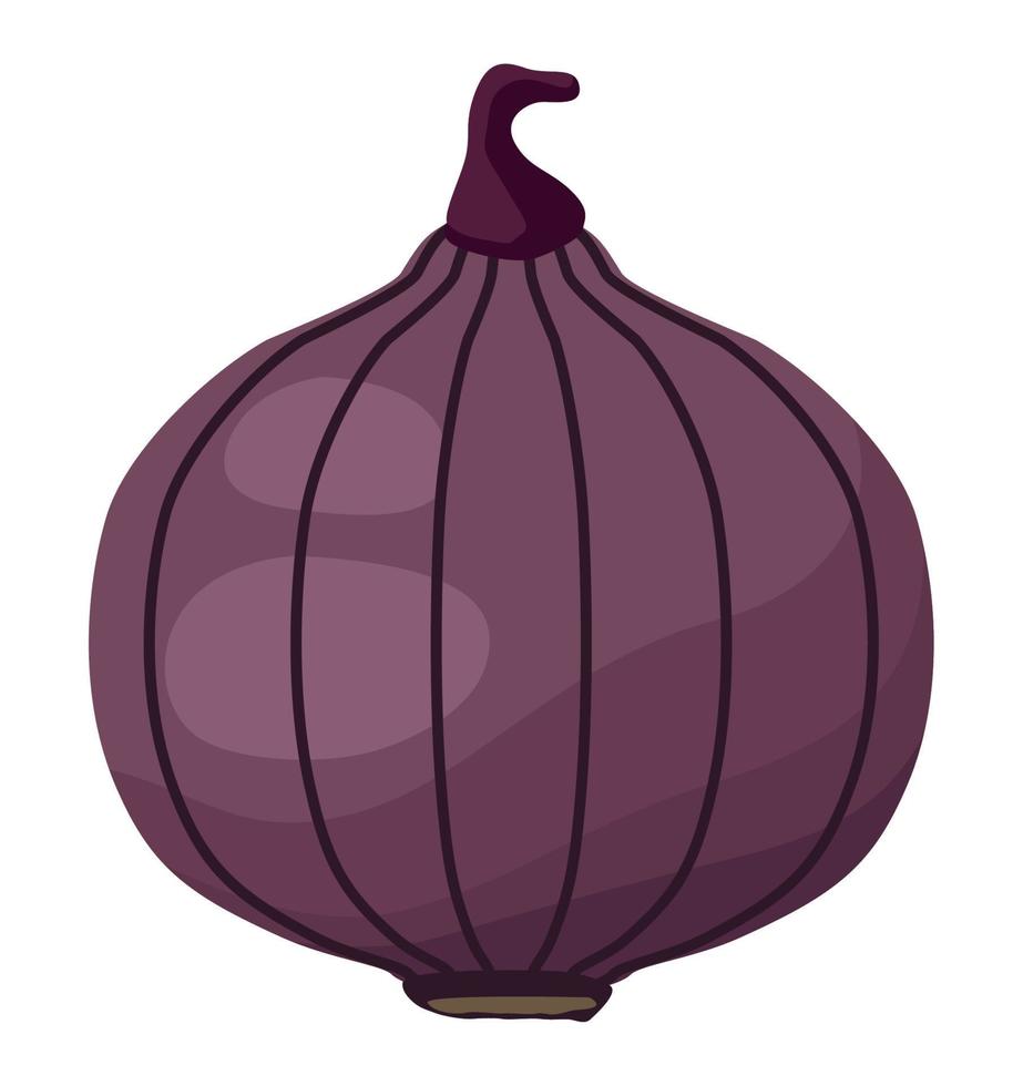 fresh purple onion vegetable 10384994 Vector Art at Vecteezy